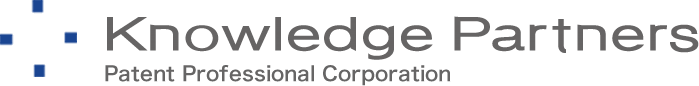 Knowledge Partners Patent Professional Corporation